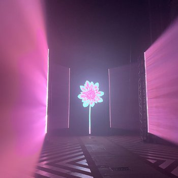 A screen in an empty church showing a flower with pink lights