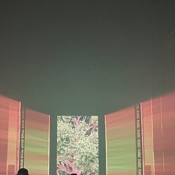 People standing in a church in front of a large screen showing a tree.