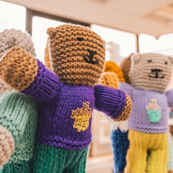 Four Brave Bears, the closest brown with a purple jumper, standing on the library shelf