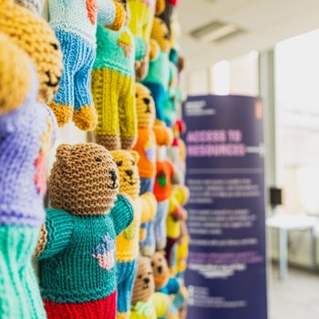 Wall of knitted brave bears in many colours with acorn motif on their tshirts