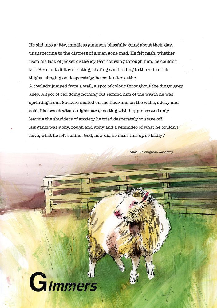 Dialect word 'gimmers'. Poem and illustration of sheep.