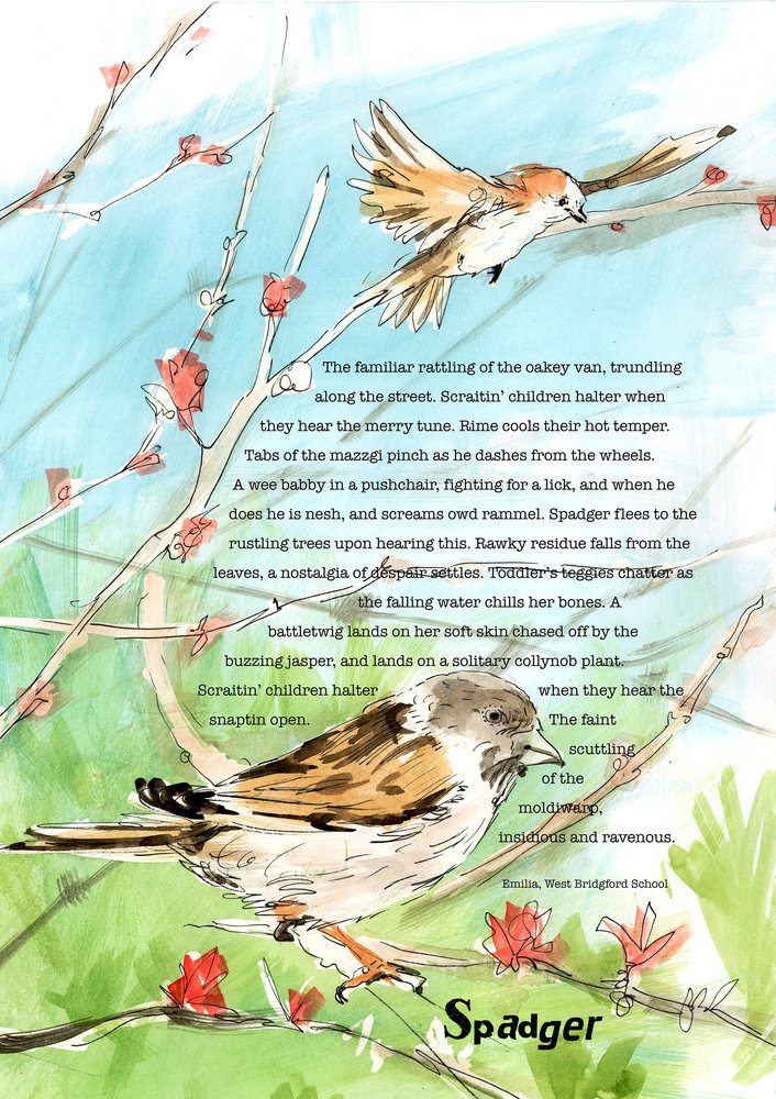 Dialect word 'spadger'. Poem and illustration of sparrows.