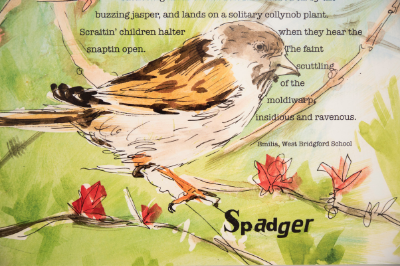 A poem and an illustration of the dialect word 'spadger': a sparrow
