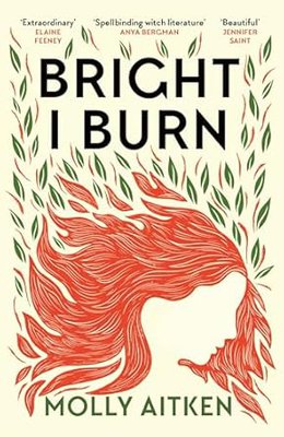 Front Cover of Bright I Burn by Molly Aitken