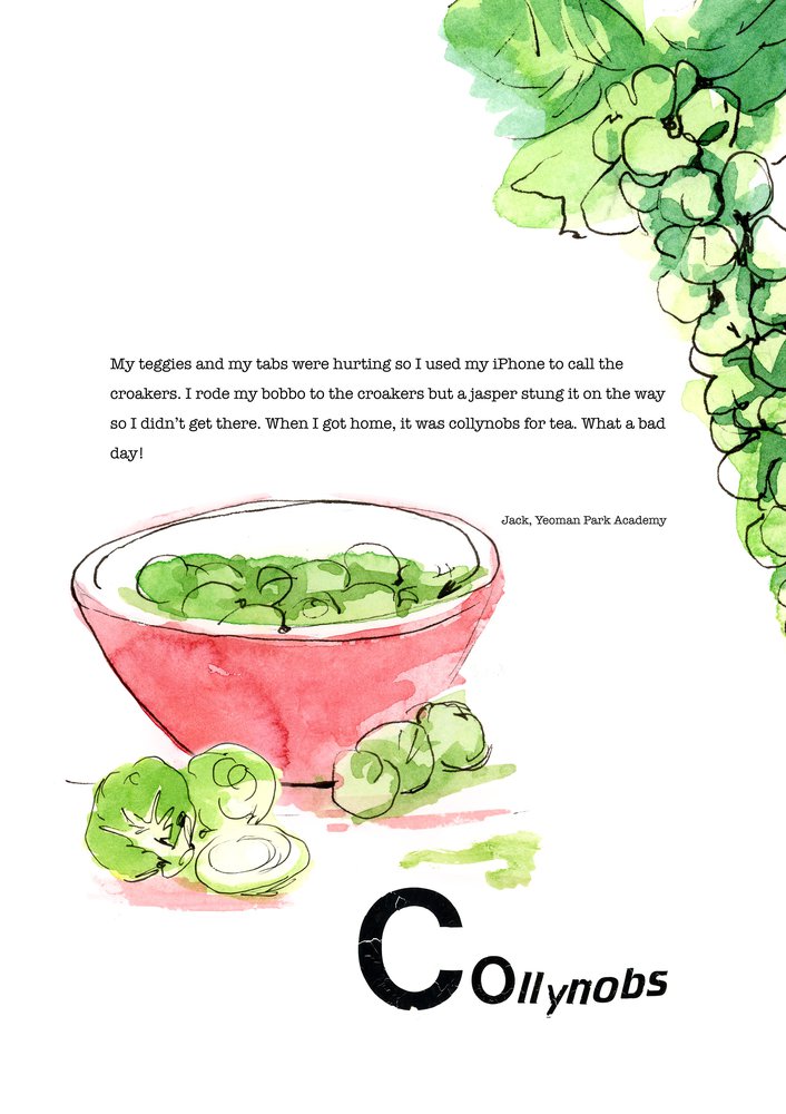 Dialect word 'collynobs'. Poem and illustration of brussel sprouts.