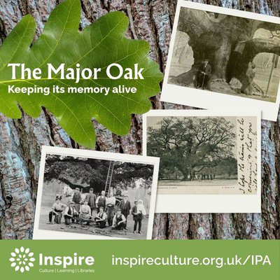 Major Oak photo call out artwork