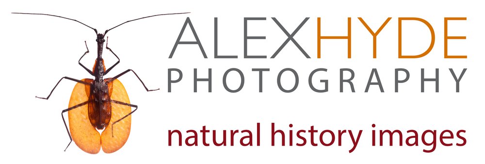Alex Hyde Photography Logo.jpg