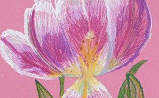 Art for beginners pink flower.jpg