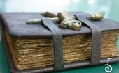 Book Binding.jpg