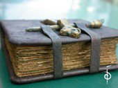 Book Binding.jpg