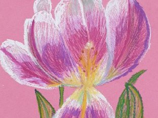 C Arnold Art for Beginners Pink Flower.jpg