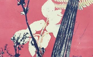 Pink background with mono printing of black and cream bontanicals