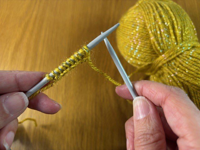 Photo of a row of knitting stitches on a knitting needle