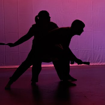 A shadow of two dancers on stage with pink lighting behind.