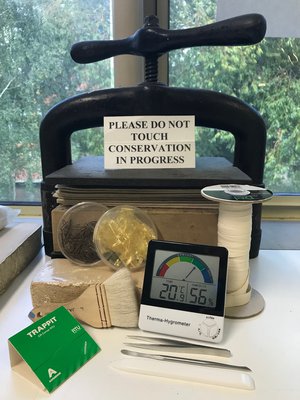 Conservation work on damaged document