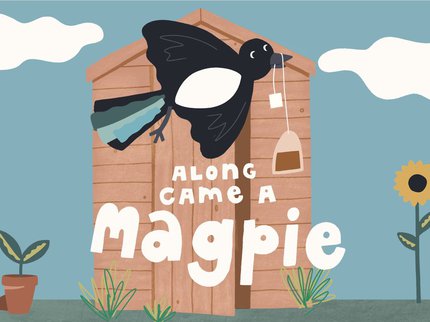 An illustration of a magpie flying past a house