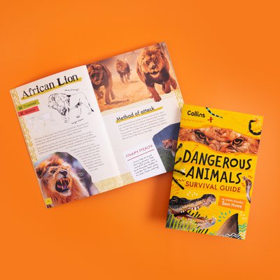 Photo of illustrator Claire Powell