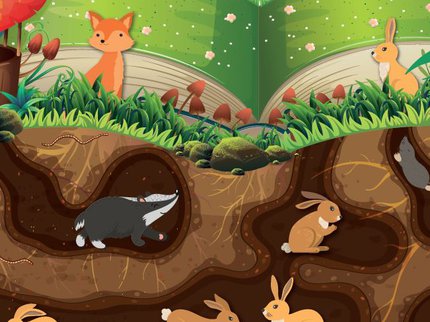 Story Explorers DDU Thumbnail.JPG