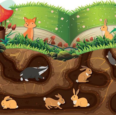 Graphic drawing of an open book in a landscape scene. The open book is covered in grass and there are mushrooms, a fox and a rabbit. The lower half of the image shows underground animal burrows with a badger, rabbits and moles.
