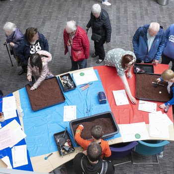 An aerial view of people taking part in a historical dig activity