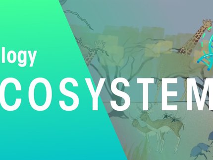 Ecology and Ecosystems.jpg