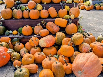 FTA HarvestofPoetry .jpg