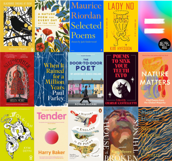Collection of book cover images that make up festival 15.