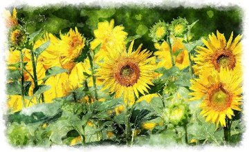 Painting of yellow flowers