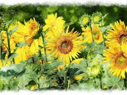 flower painting