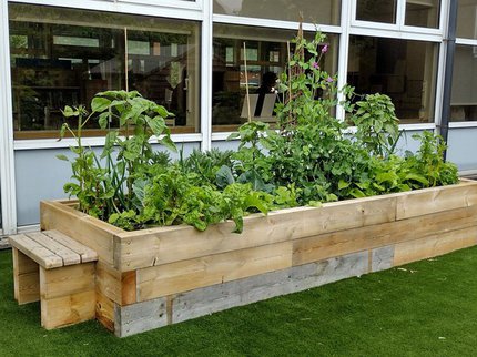 A vegetable patch with green plants outside Kirkby Library