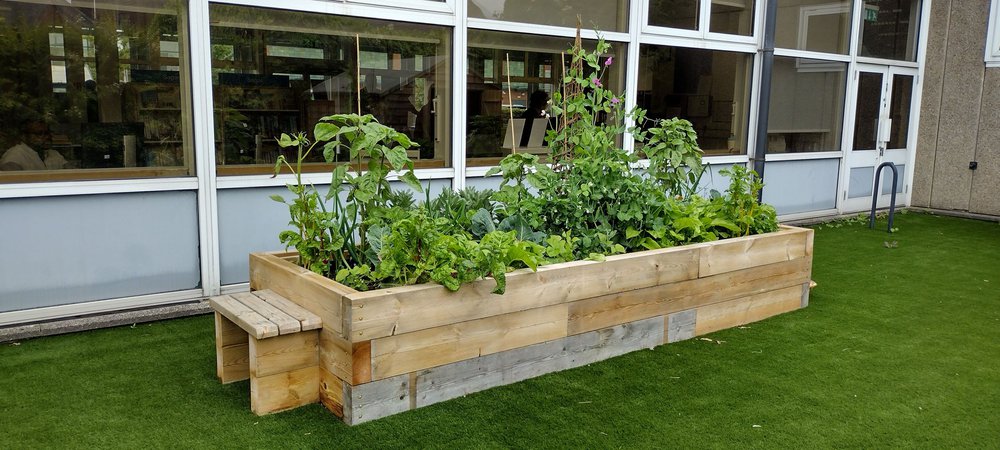 Header image for Green Libraries week - 27 Oct - 2 Nov 2025. Text reads Seeds of change make a difference with your library. Get involved at www.cilip.org.uk/greenlibrariesweek