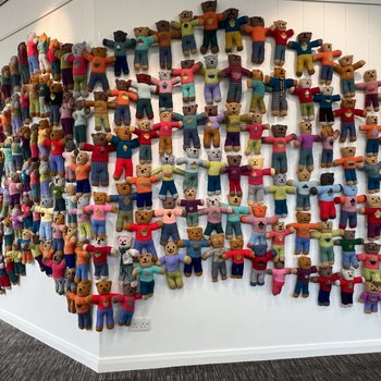 Hundreds of hand knitted bears displayed on Mansfield Central Library gallery walls