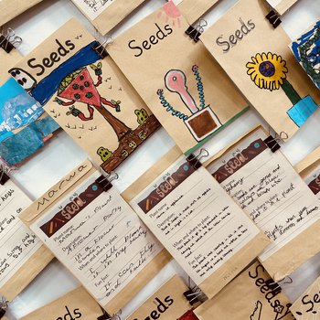 Hand decorated Seed packets hung up in an exhibition