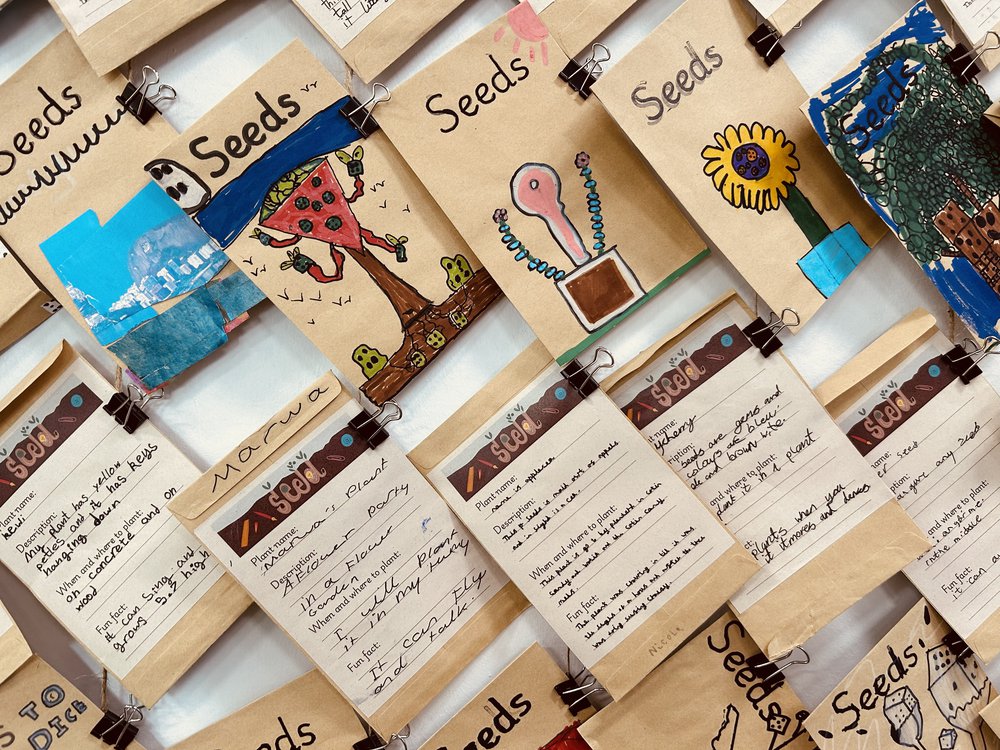 Rows of seed packets with hand drawn images of magical seeds