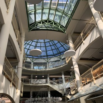 Interior of Guterloh Library, looking up at the glass roof.