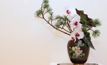 Ikebana
