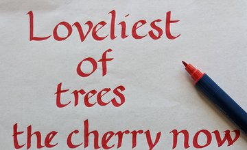 Red writing with calligraphy pen