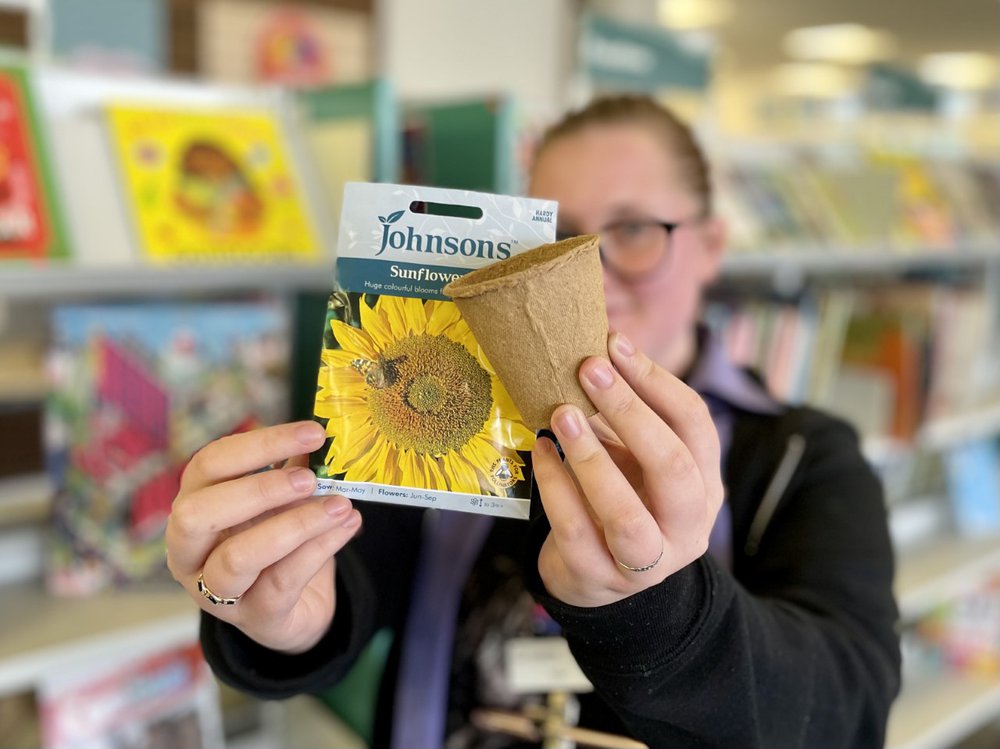 Sunflower planting materials, crafting and the library garden