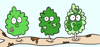 My Pockets. Leaf Number 3.jpg