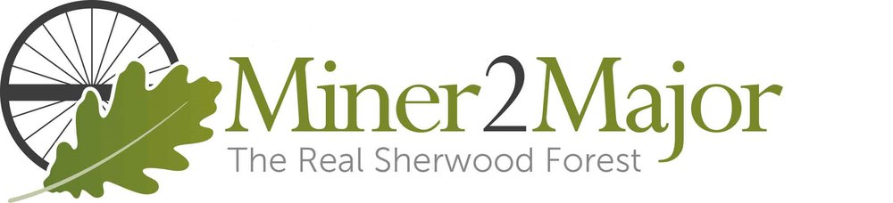 Logo - Miner 2 Major