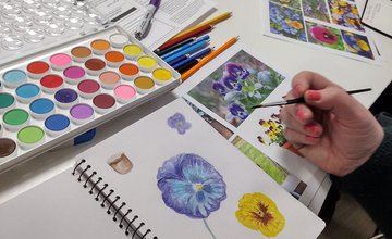 Note books showing nature journalling