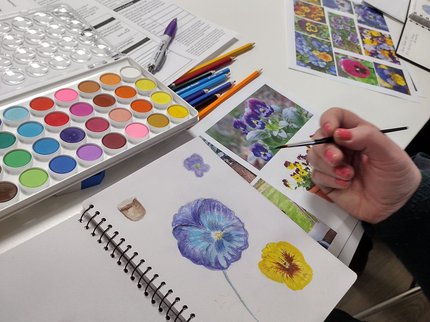 Note books showing nature journalling