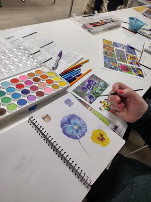 Note books showing nature journalling