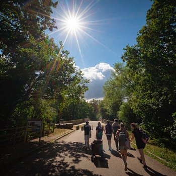 People walking through a woodland area