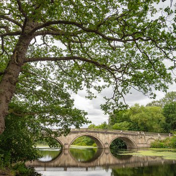A bridge surrounded by trees and water.