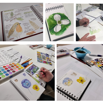 Nature Journalling course - Learner's work