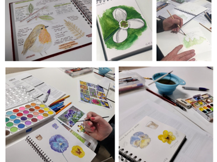 Nature Journalling course - Learner's work