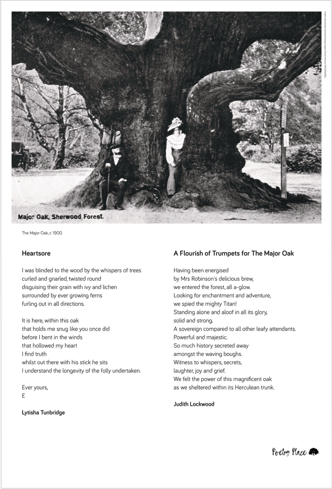 Exhibition panel featuring the poems Heartsore and A Flourish of Trumpets for the Major Oak, and an archive photograph