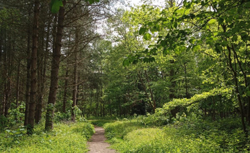 Pathways to Nature-.png