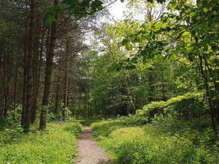 Pathways to Nature-.png